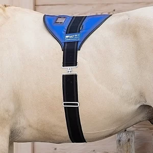 SWIT® Balance Gürtel mit Neurobalance-System für Pferde.
