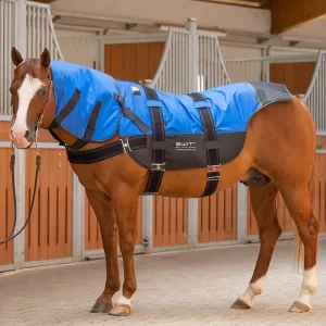 SWIT® Saddle Pad Set with Neurobalance technology and 5-mode control unit for horses