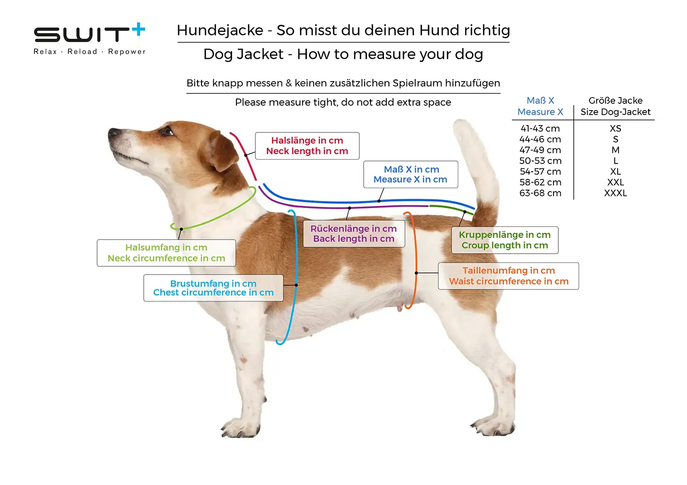 How to measure your dog correctly for the SWIT® Dog Jacket – illustrated measurement guide with labeled body areas