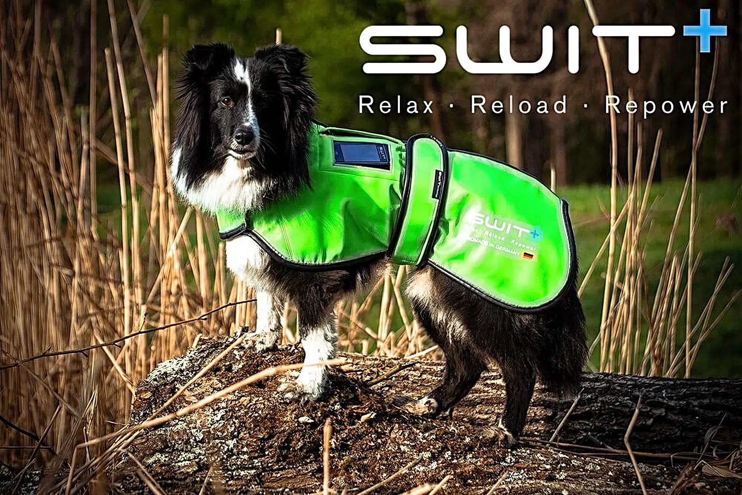 SWIT® Hundejacke mit integriertem Neurobalance-System – in verschiedenen Farben erhältlich mit 5 Modi zur Förderung von Entspannung, Konzentration und Regeneration.