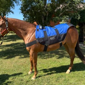 SWIT® Hybrid Satteldecke mit integriertem Neurobalance-System für Pferde
