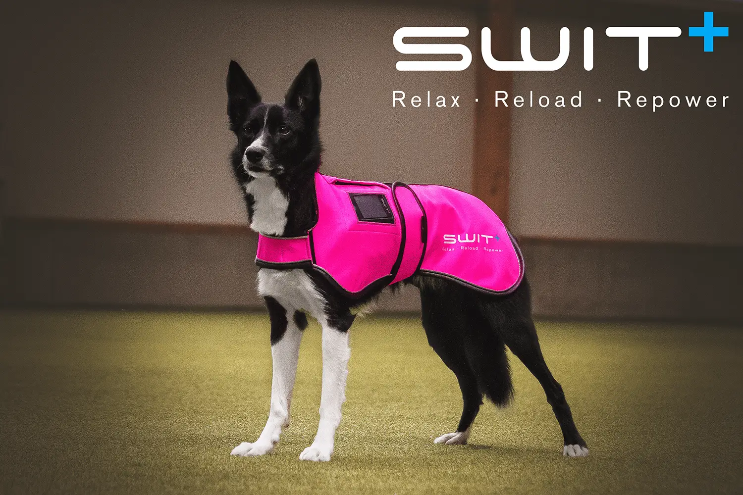 SWIT® Hundejacke mit integriertem Neurobalance-System – in verschiedenen Farben erhältlich mit 5 Modi zur Förderung von Entspannung, Konzentration und Regeneration.