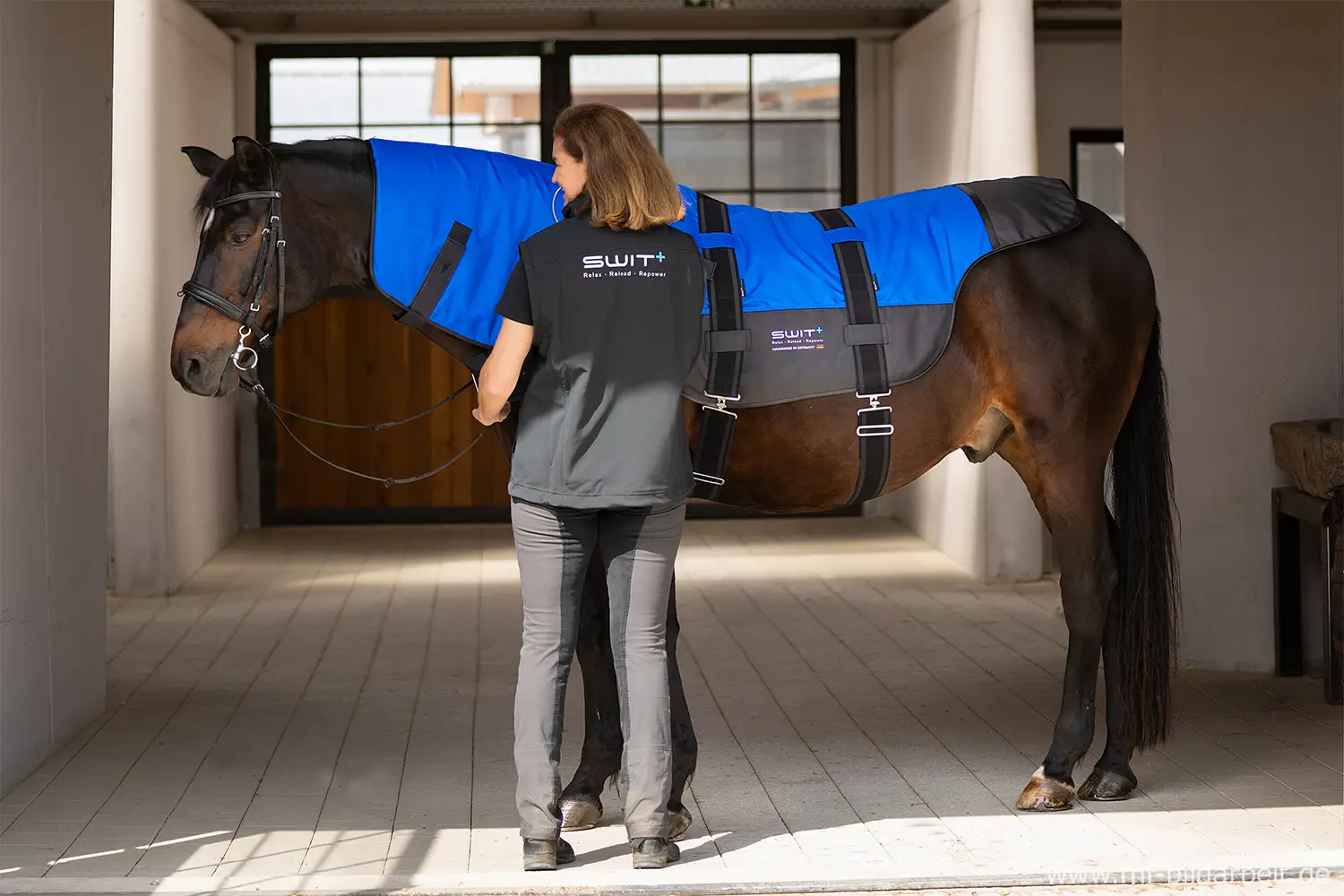 SWIT® Hybrid Modulo cervicale con sistema Neurobalance per cavalli