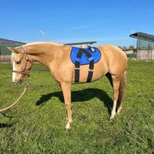 SWIT® Balance Saddle Pad Light in blue on a horse with integrated Neurobalance system – lightweight saddle pad for mobility and stress relief
